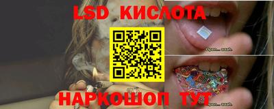 гашик Тулун