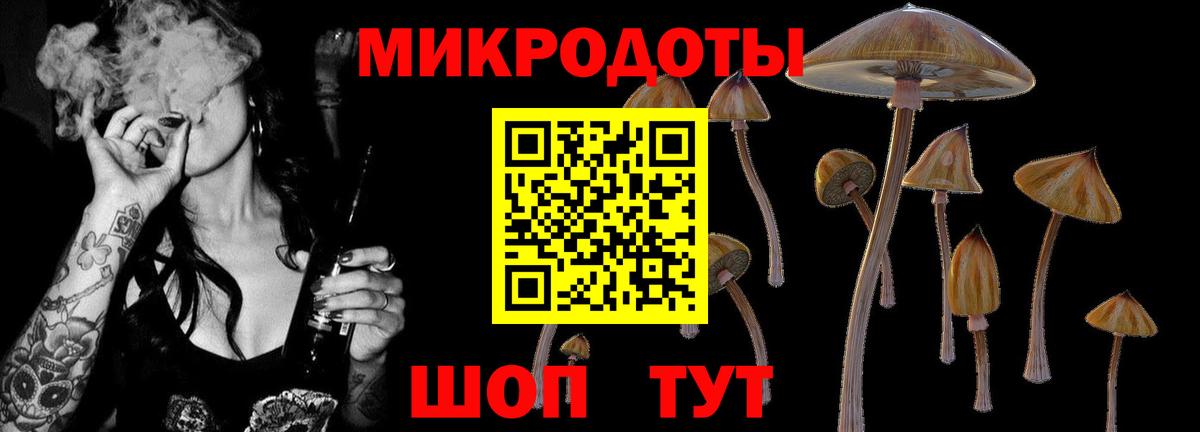 купить наркотик  Вход с VPN  Архангельск  Псилоцибиновые грибы мицелий  Галлюциногенные грибы ЛСД 